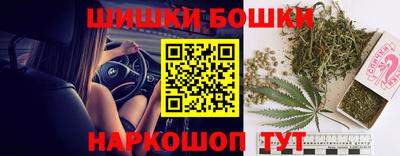 индика Пушкино