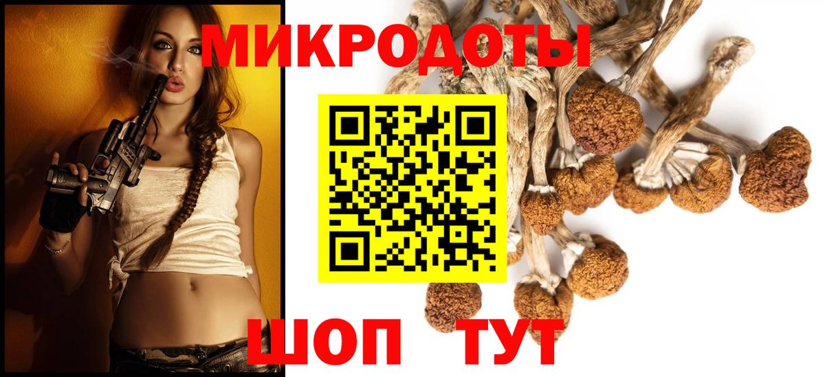 Псилоцибиновые грибы мицелий Саратов